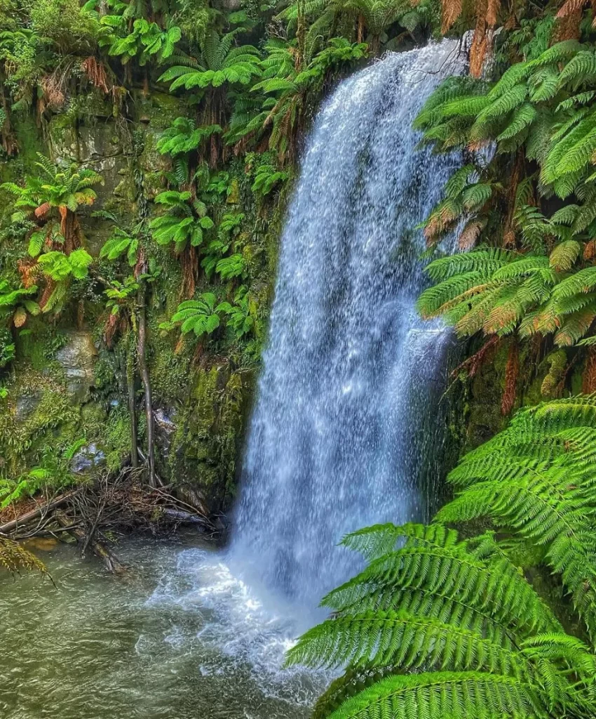 Otway Ranges