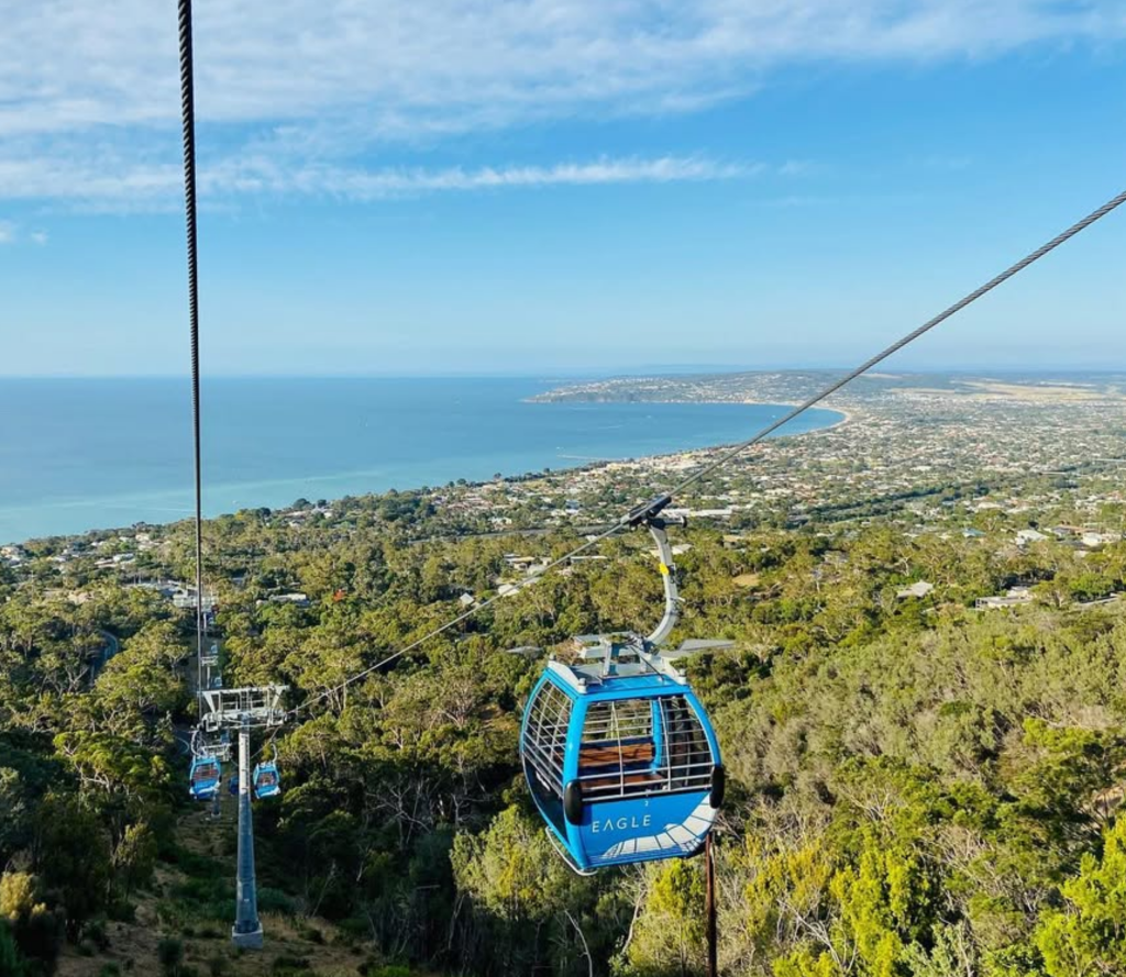 Arthurs Seat Eagle, Peninsula