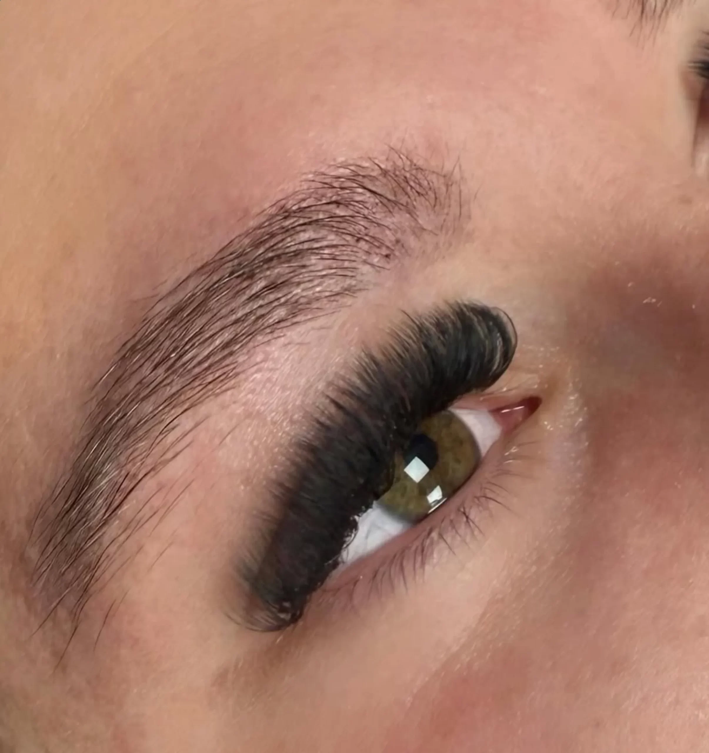 hybrid eyelash extensions lashes count