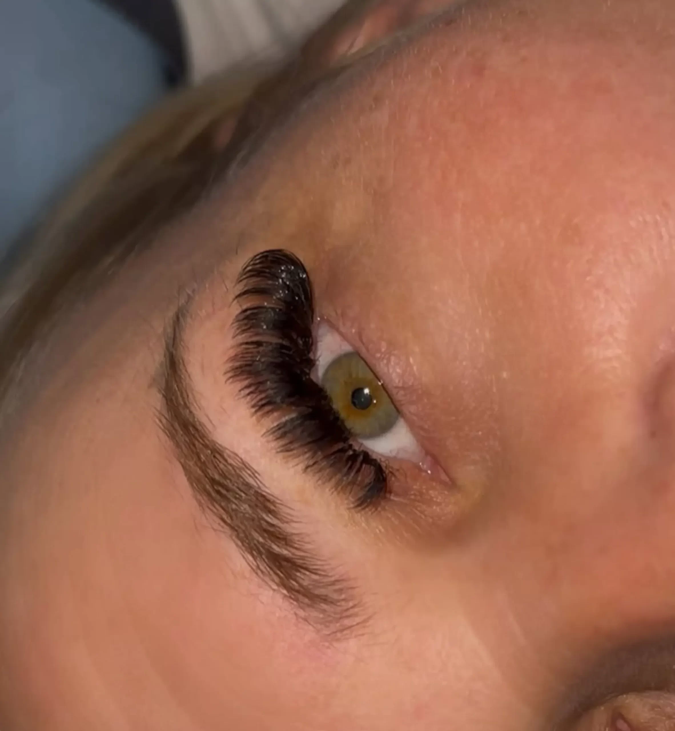 natural lash count per eye